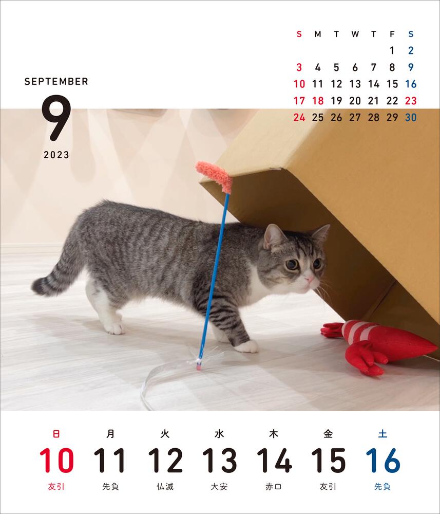 72%OFF!】 猫 週めくり ちび 卓上カレンダー 2023