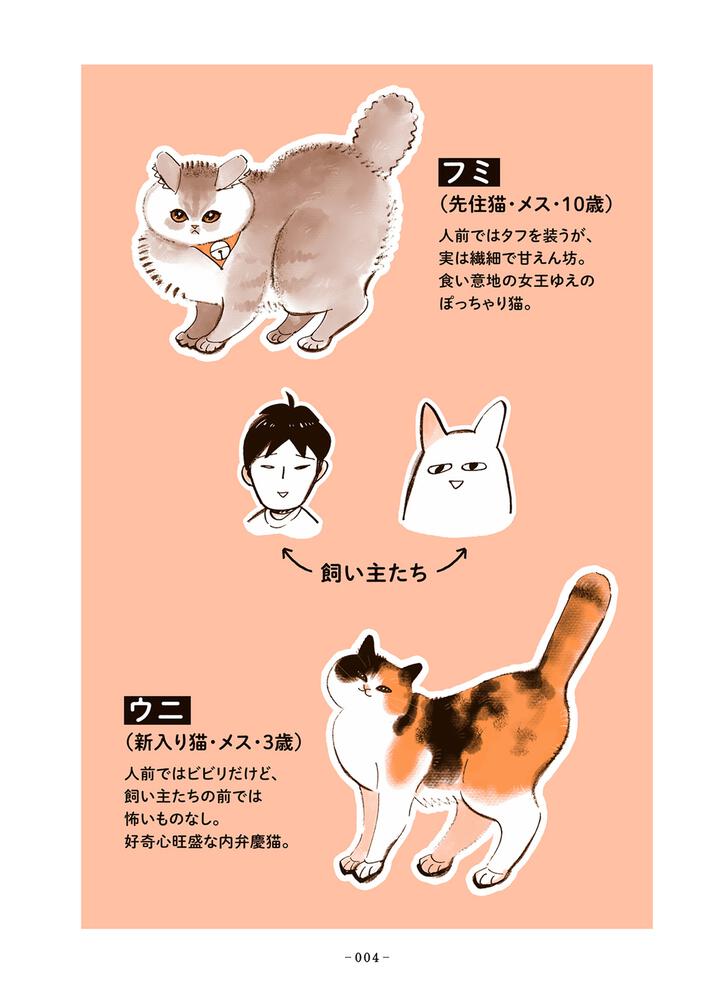 うちの猫は仲が悪い」 谷口 菜津子[コミックエッセイ] - KADOKAWA