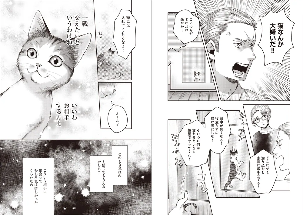 ラノベの教科書 (三才ムック VOL. 574) ネズナイカのぼうけん (偕成社文庫 2029) | ノーソフ