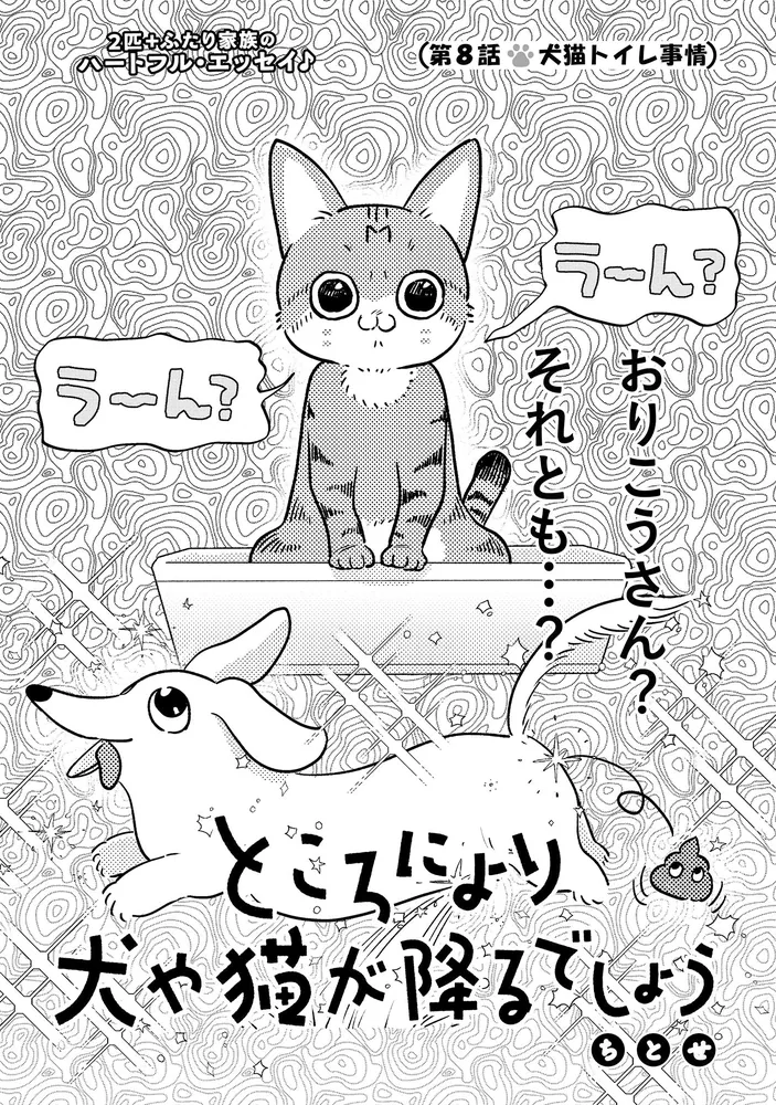 Hやんやんさん犬と猫(ニックネーム変更) ウェルチ68本★定価10,800 A former stray cat goes on a late-night sprint on a cat