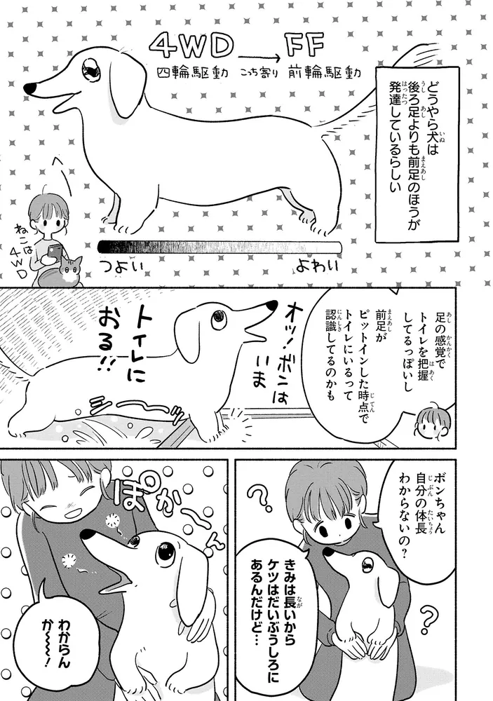 Hやんやんさん犬と猫(ニックネーム変更) ウェルチ68本★定価10,800 犬猫更新したよ！ | ちとせ さんのマンガ | ツイコミ(仮)