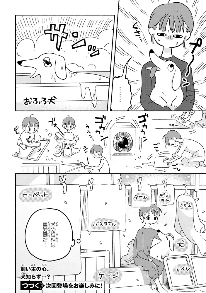 ところにより犬や猫が降るでしょう」ちとせ [MFC ジーンピクシブ