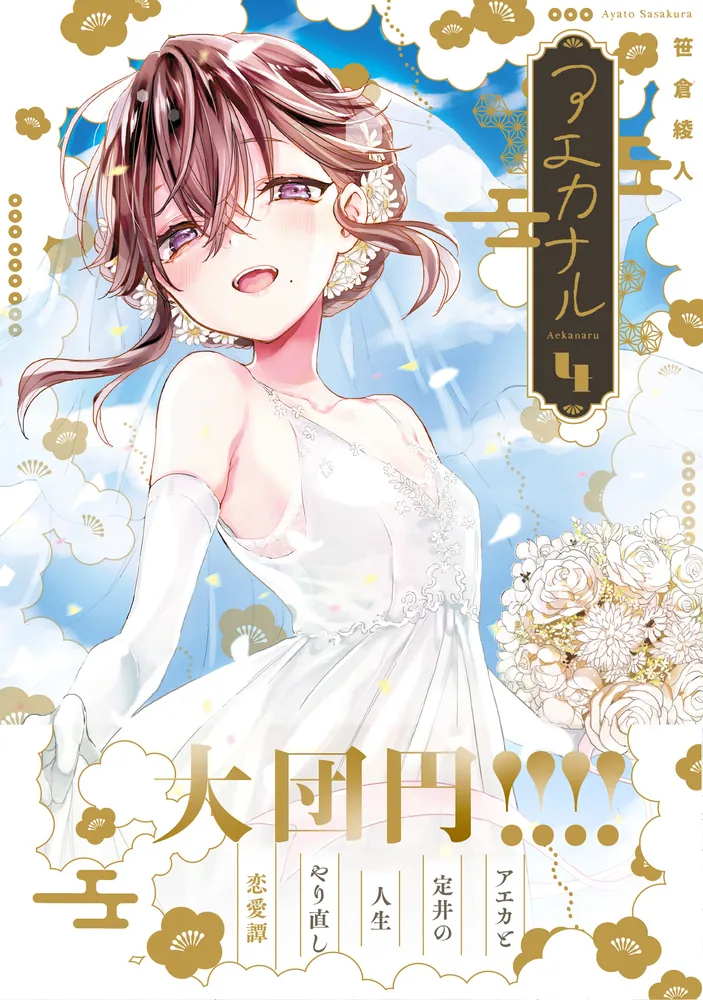 あやまる ADIDAS CONSORTIUM ZX 420 QUOTOOLE B26014 SIZE 10 PETER O