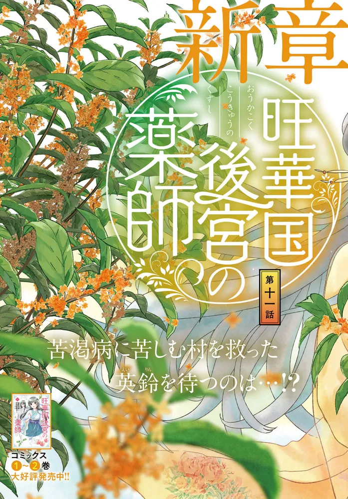 浮瀬 (うかむせ) 大阪「食」文化専門誌 全13巻セット 甘ったる
