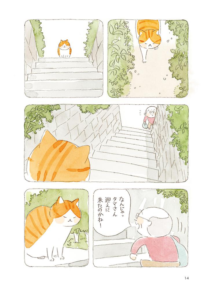 ねことじいちゃん（９）」ねこまき(ミューズワーク) [コミックエッセイ