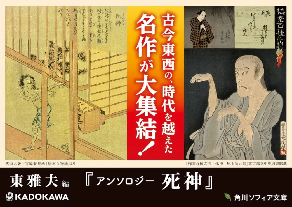 日本の神々 神社と聖地 第11巻 関東(谷川健一 編) / 古本、中古
