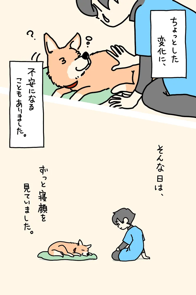 老いゆく愛犬と暮らしたかけがえのない日々 ワンコ17歳」サエタカ
