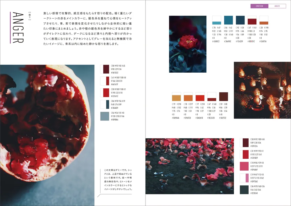 写真から見て探せる 配色パターン図鑑」NEOHIMEISM [生活・実用書