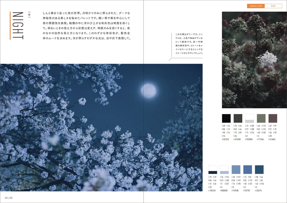 写真から見て探せる 配色パターン図鑑」NEOHIMEISM [生活・実用書