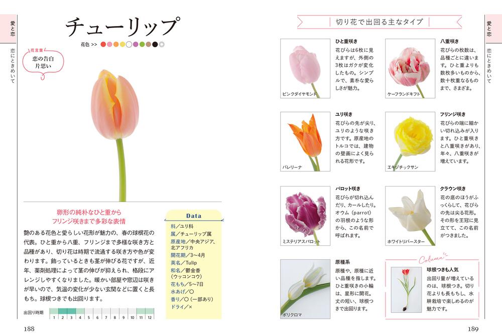 花言葉から探せる 花屋さんの「花」図鑑」深野俊幸 [生活・実用書] KADOKAWA