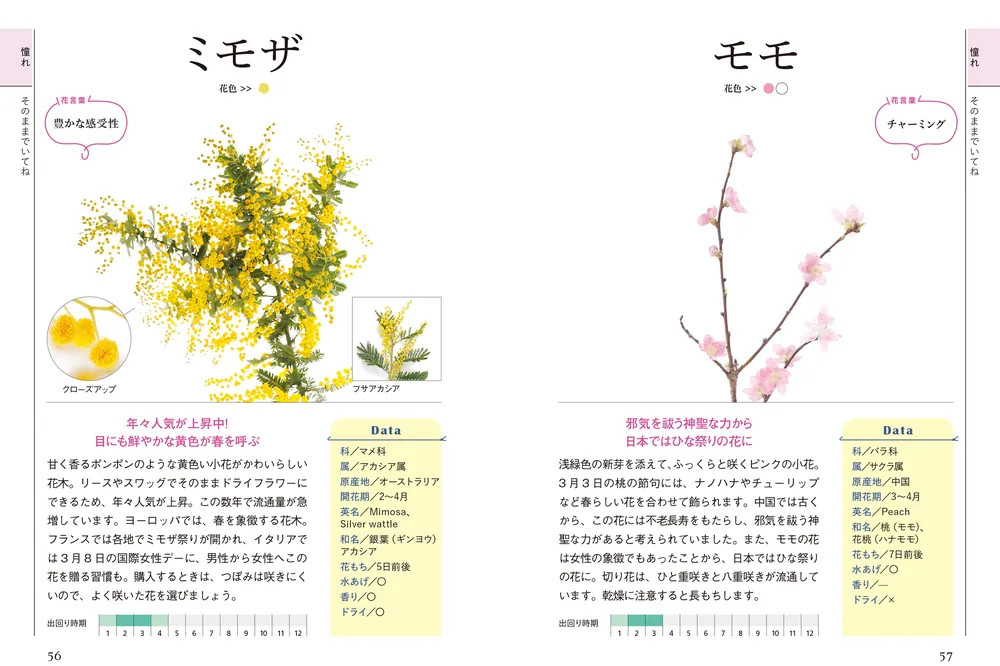 花屋さんの花 楽しむ図鑑 深く 227種 図鑑 花 