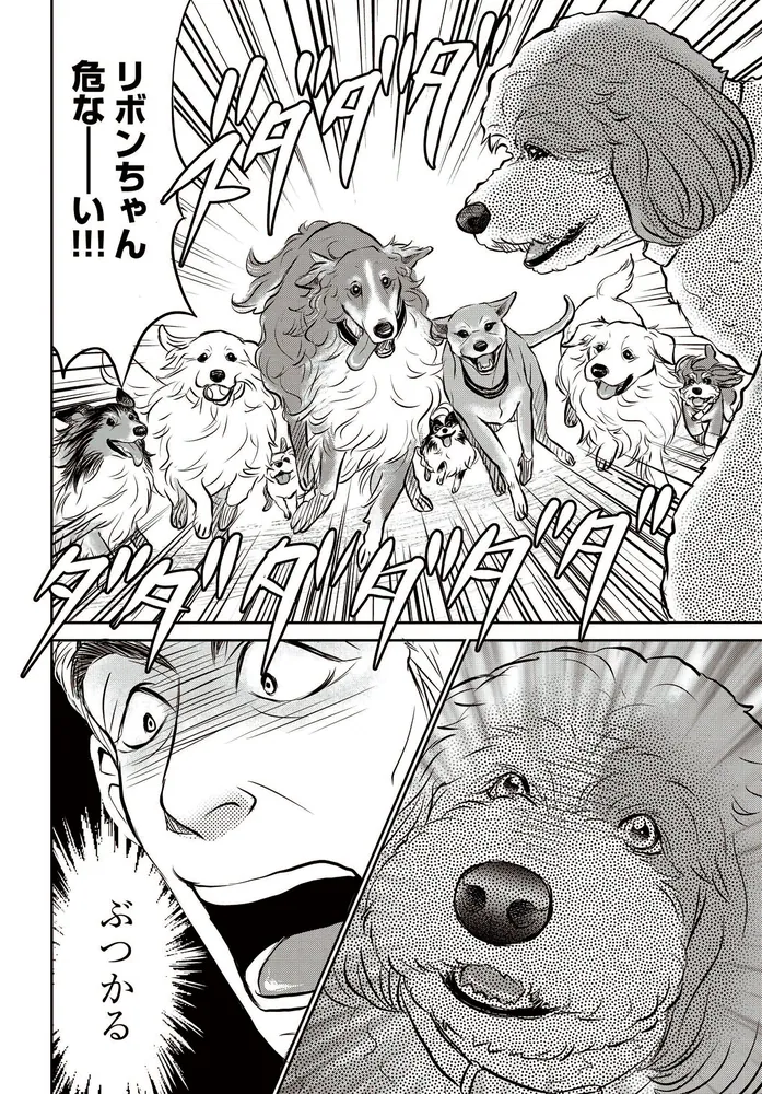 DOG SIGNAL 8」みやうち沙矢 [BRIDGE COMICS] - KADOKAWA