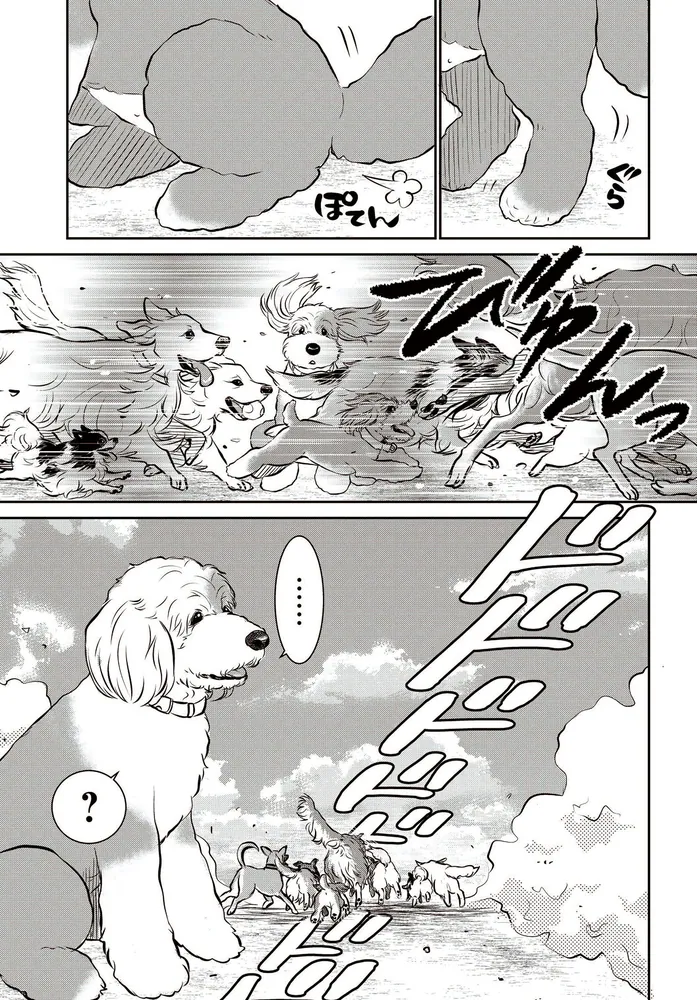DOG SIGNAL 8」みやうち沙矢 [BRIDGE COMICS] - KADOKAWA