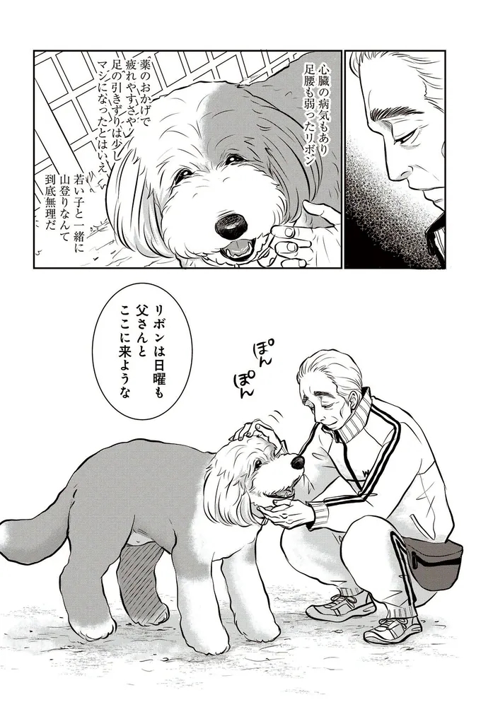 DOG SIGNAL 8」みやうち沙矢 [BRIDGE COMICS] - KADOKAWA