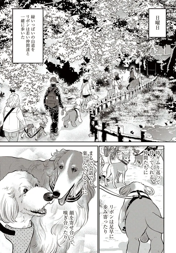 DOG SIGNAL 8」みやうち沙矢 [BRIDGE COMICS] - KADOKAWA