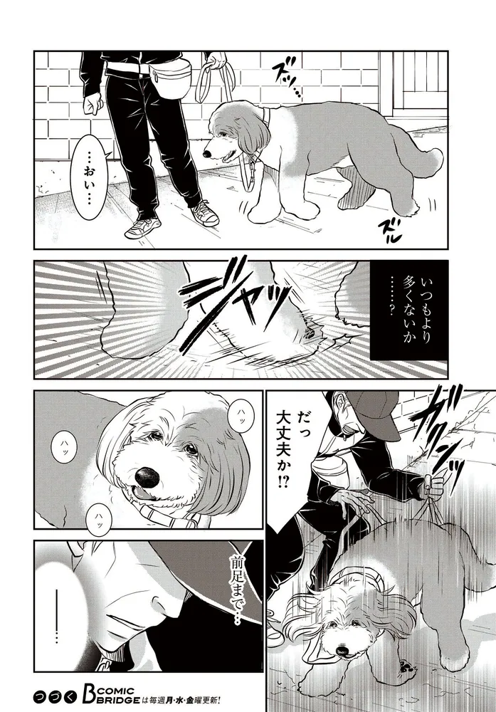 DOG SIGNAL 8」みやうち沙矢 [BRIDGE COMICS] - KADOKAWA