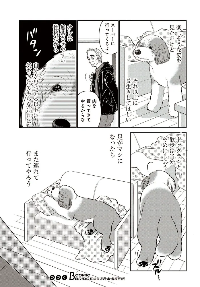 DOG SIGNAL 1〜4巻 みやうち沙矢 ドッグシグナル - 漫画