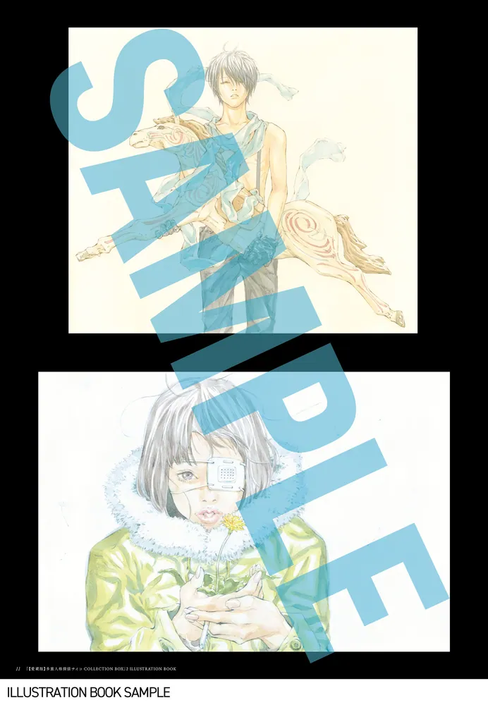 愛蔵版】多重人格探偵サイコ COLLECTION BOX（2）」田島昭宇