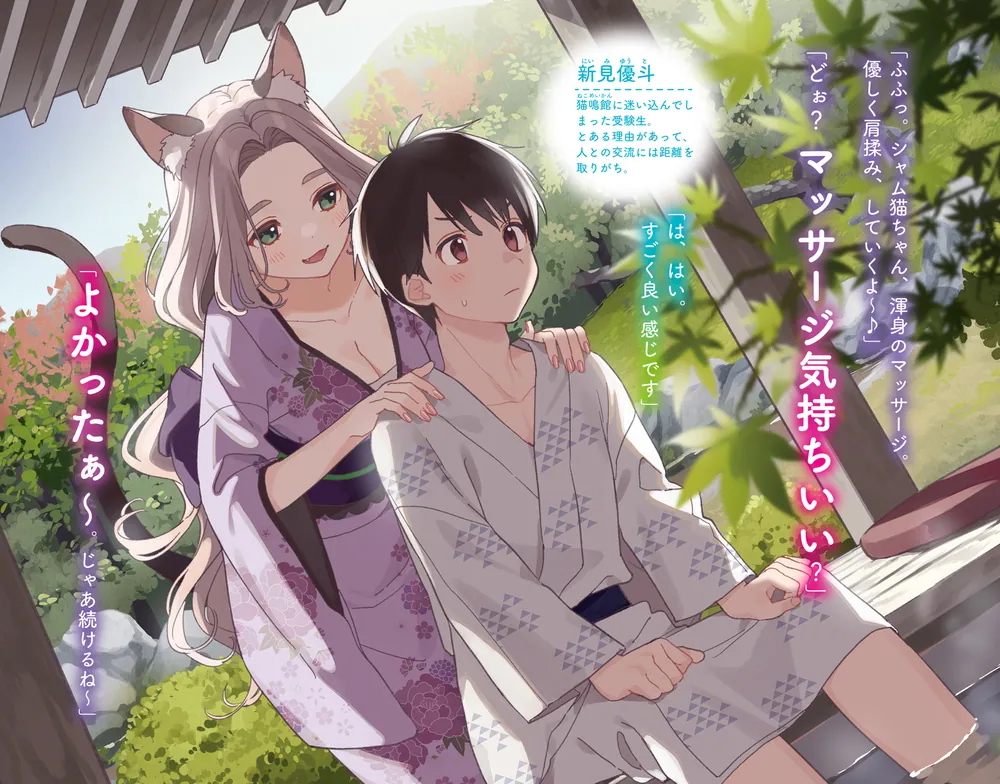 最強種の猫耳少女と出会う アニメ DVD 全巻セット 1巻〜6