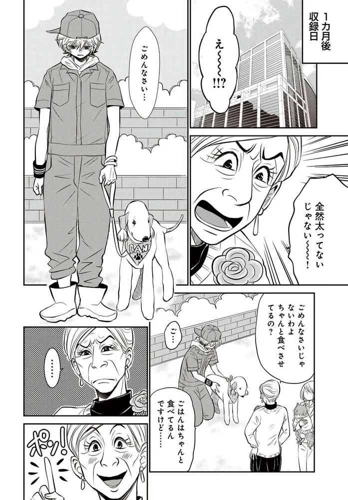 ドッグシグナル ビニール未開封1〜9巻｜本・雑誌・漫画