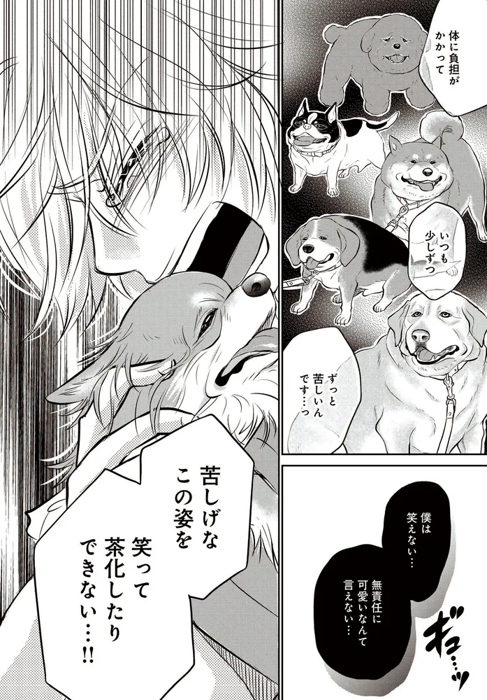 【最終お値下げ‼️】DOG SIGNAL 1巻〜9巻・11巻 ＊ みやうち沙矢 DOG SIGNAL 11」みやうち沙矢 [BRIDGE COMICS] - KADOKAWA