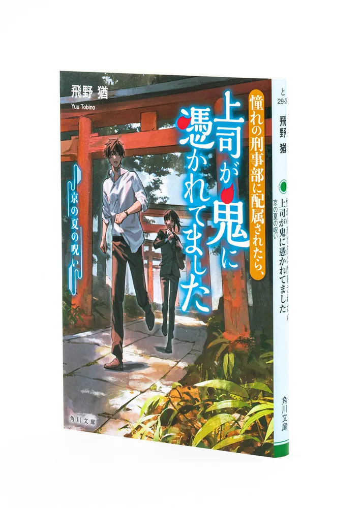 ▲01)【同梱不可】シリーズ 刑事司法を考える 第0巻〜第6巻/計7冊セット/岩波書店/A △01)【同梱不可】シリーズ 刑事司法を考える 第0巻〜第6