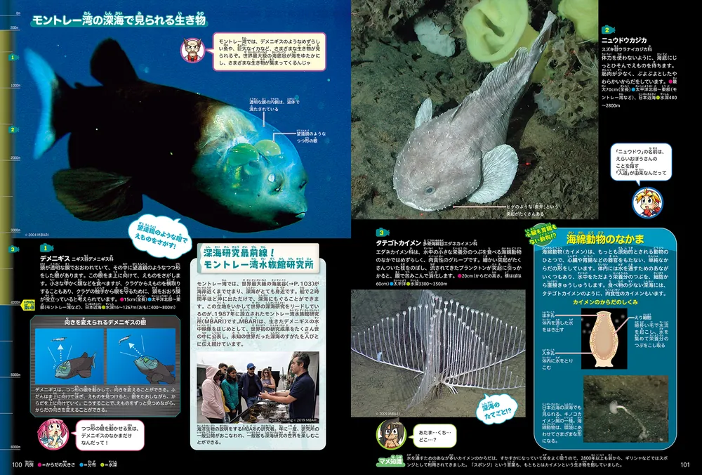角川の集める図鑑GET！ 深海」江口暢久 [学習図鑑] - KADOKAWA