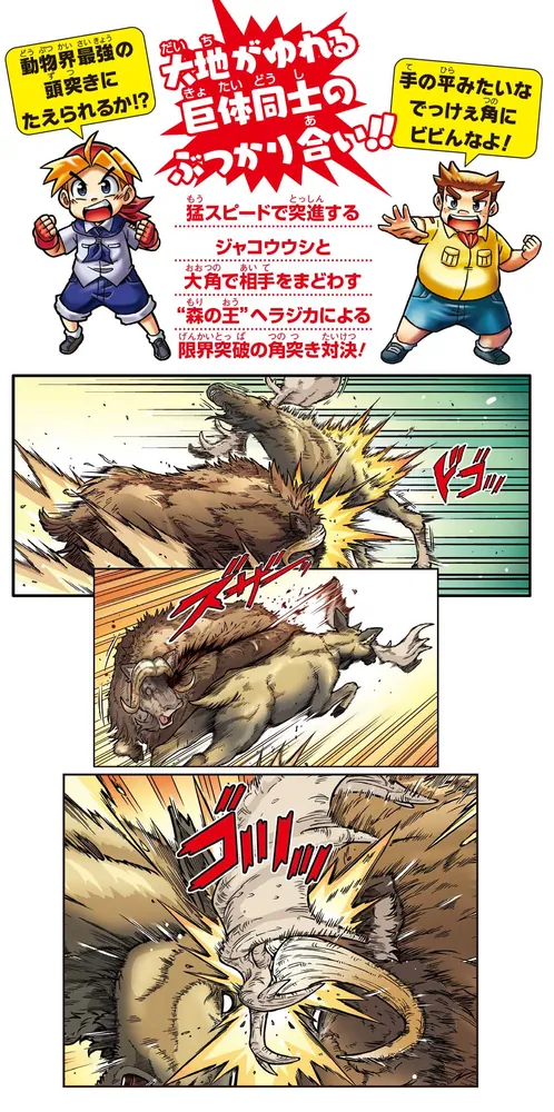 ヘラジカ様 71MR2+WPntL._UF350,350_QL50_.jpg