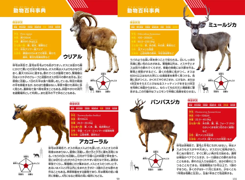 鹿の角 7対 １４本と２本 - 置物