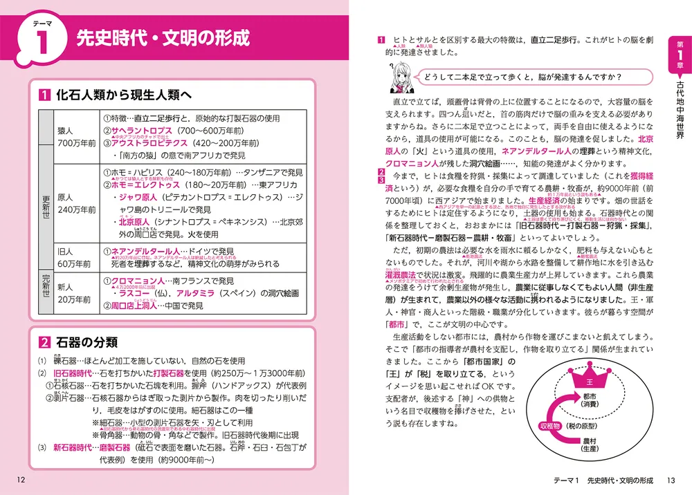 大学入試 世界史B論述問題が面白いほど解ける本 改訂版 大学入学共通テスト 歴史総合、世界史探究の点数が面白い