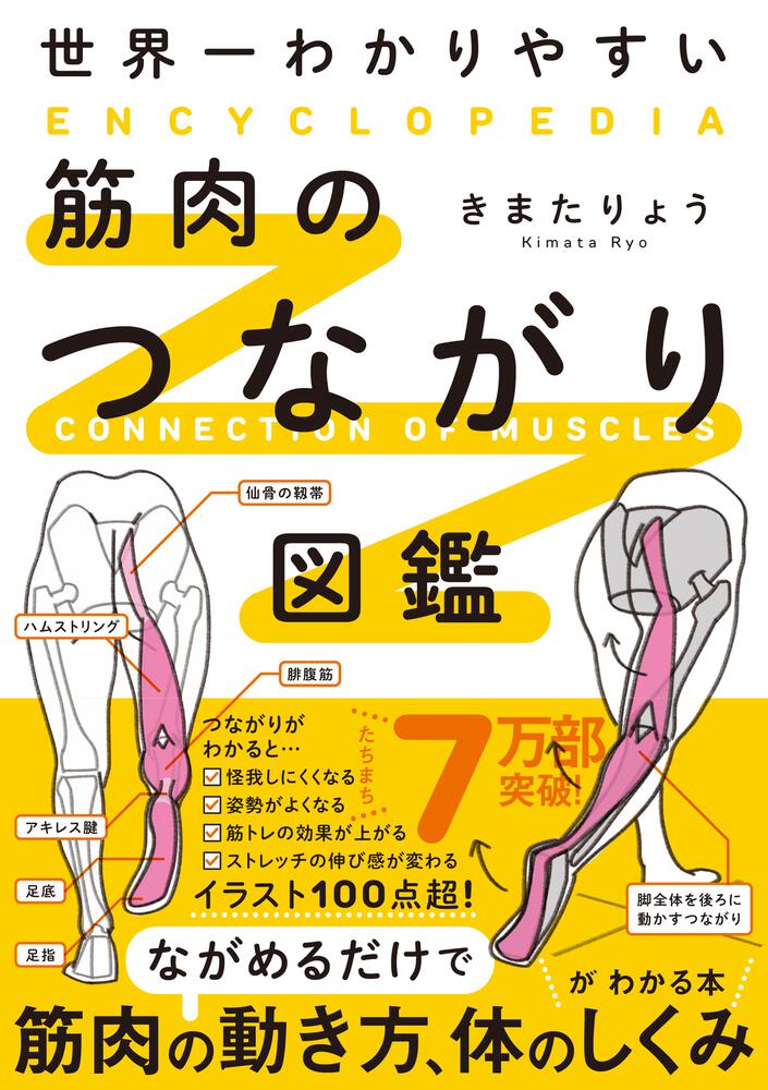 世界一わかりやすい 筋肉のつながり図鑑」きまたりょう [生活・実用書