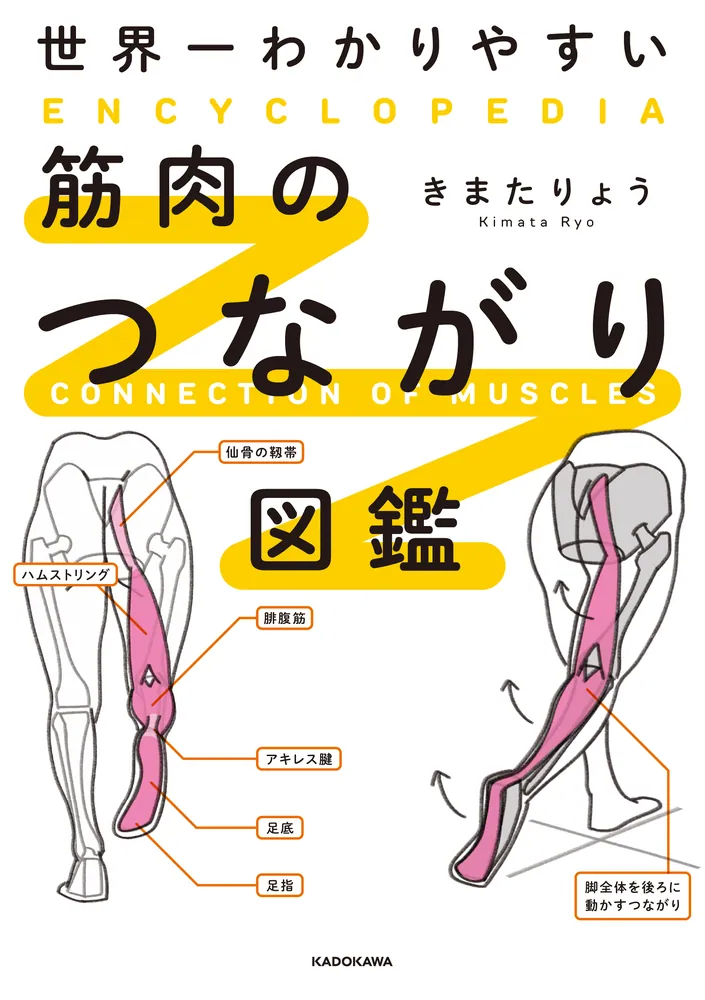 筋 読み ストア 本