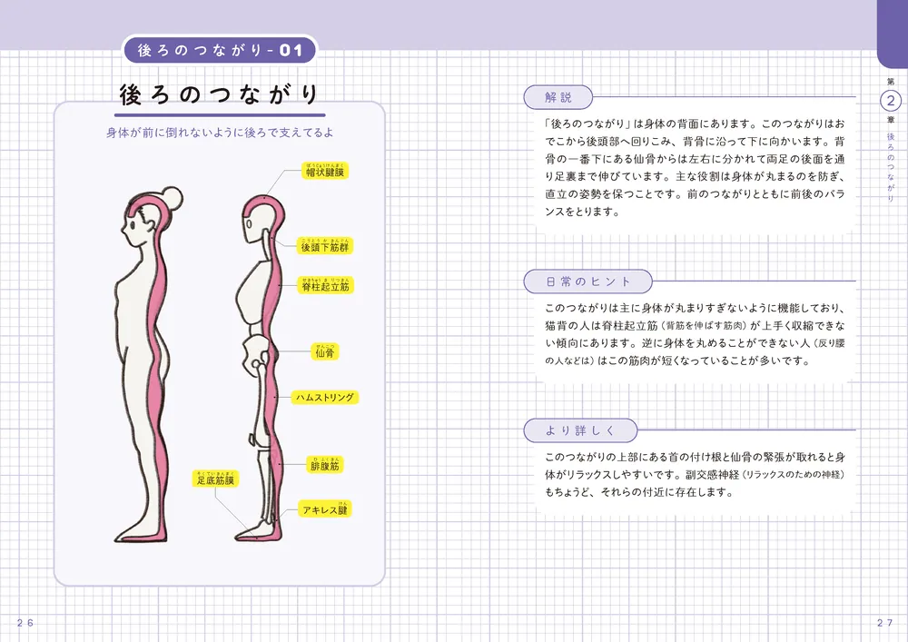 世界一わかりやすい 筋肉のつながり図鑑」きまたりょう [生活・実用書