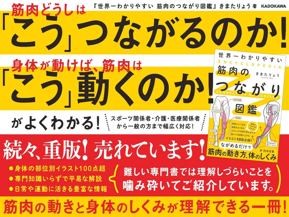 世界一わかりやすい 筋肉のつながり図鑑」きまたりょう [生活・実用書