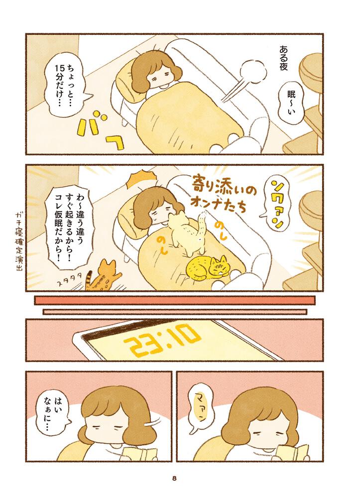 しまねこ3姉妹と暮らしています」類 [コミックエッセイ] - KADOKAWA