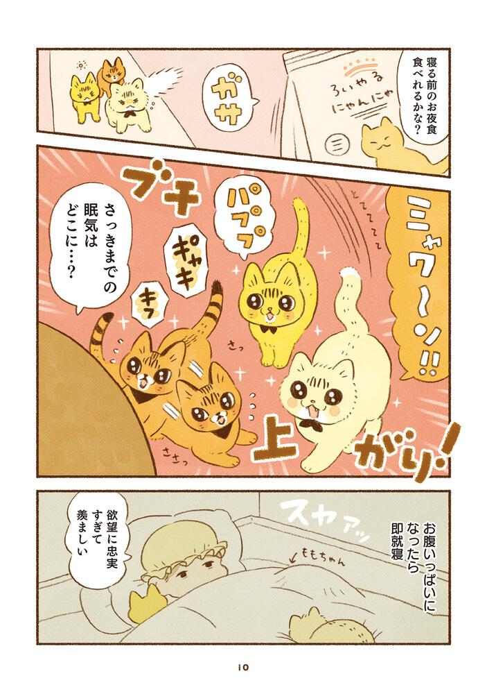 しまねこ3姉妹と暮らしています」類 [コミックエッセイ] - KADOKAWA