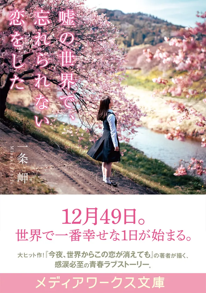 嘘の世界で、忘れられない恋をした」一条岬 [メディアワークス文庫