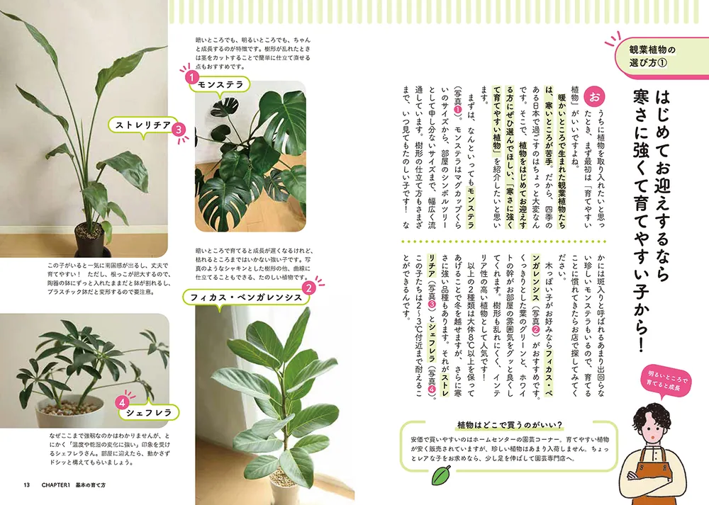 知りたかったがつまってる！ 世界一たのしい観葉植物教室」くりと