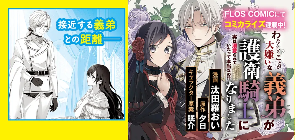 カドコミ2025 わたくしのことが大嫌いな義弟が護衛騎士になりました 10個 Amazon.co.jp: わたくしのことが大嫌いな義弟が護衛騎士になり