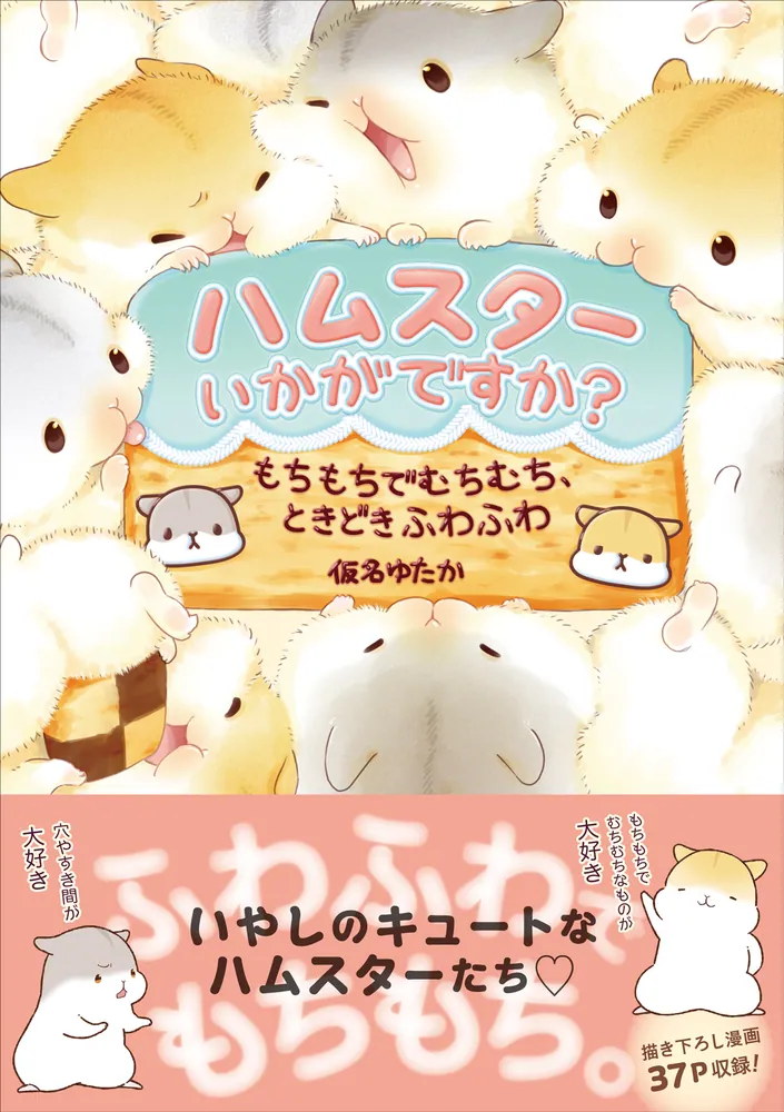 ふわ様専用です noa様専用です 未使用タグ付き ダンスウィズドラゴン 星