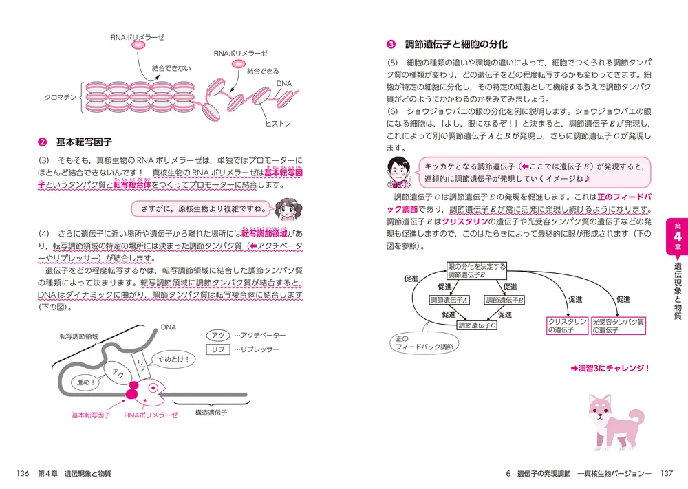 改訂版 大学入学共通テスト 生物の点数が面白いほどとれる本 0から