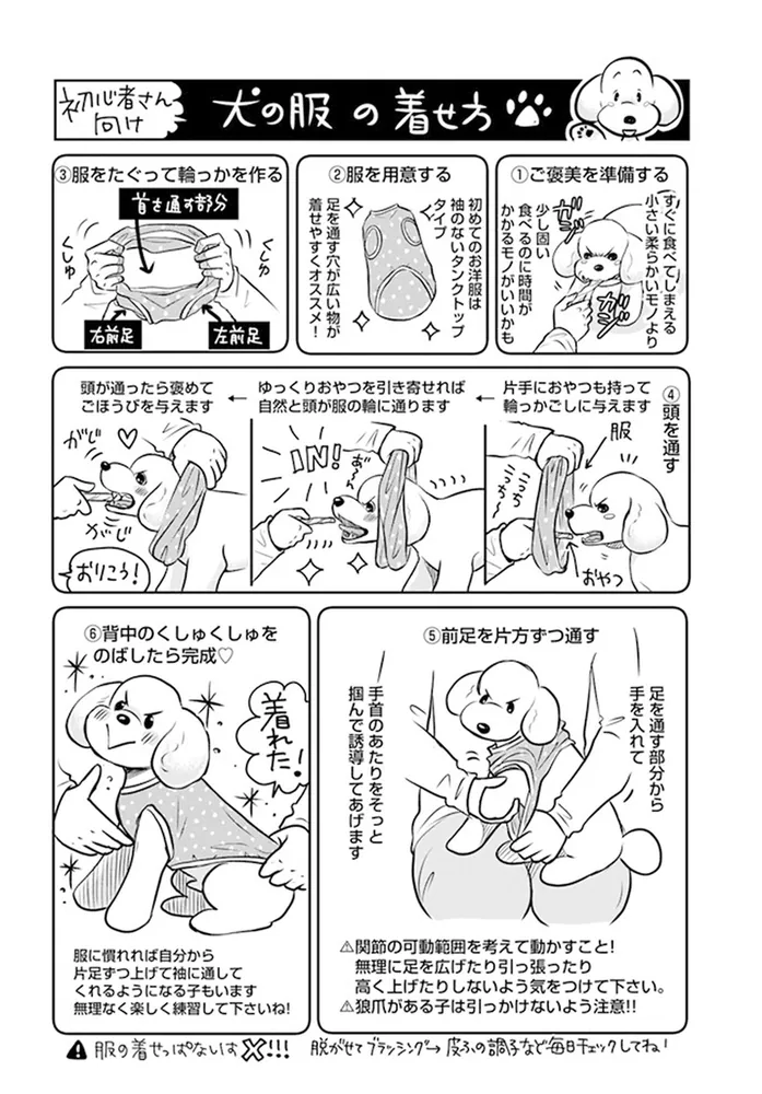 DOG SIGNAL 10 ドッグチャーム付き特装版」みやうち沙矢 [BRIDGE