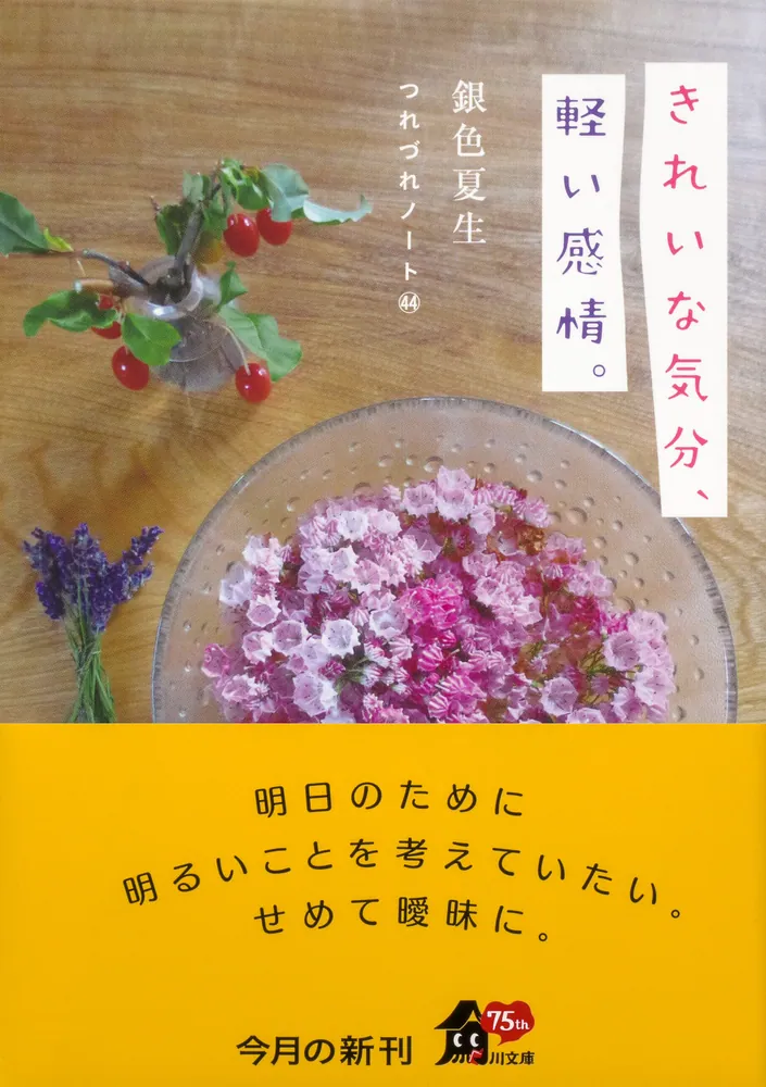 きれいな気分、軽い感情。 つれづれノート44」銀色夏生 [角川