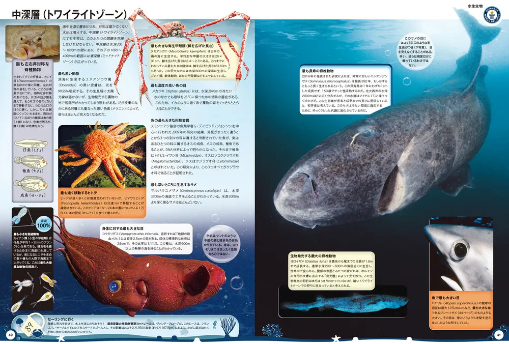 ギネス世界記録2024 ギネス世界記録2024 | ギネス世界記録