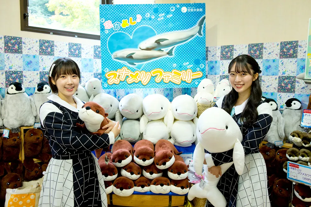 STU48Walker 2024年版 ウォーカームック」株式会社STU [ウォーカー