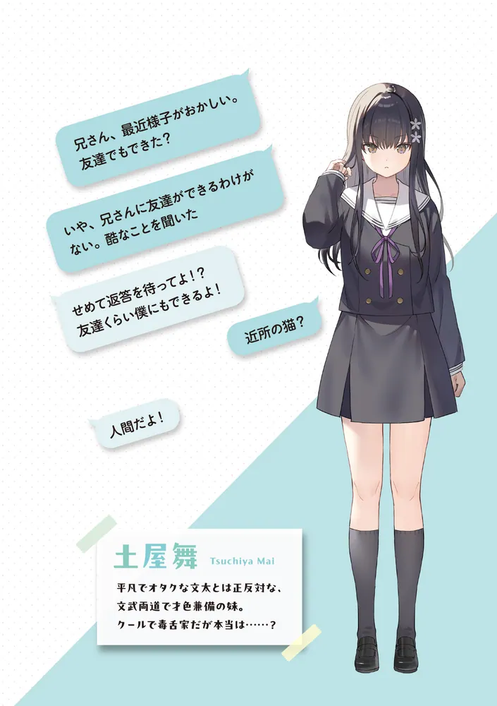 裏ギャルちゃんのアドバイスは100%当たる 「だって君の好きな聖女様、私のことだからね」」急川回レ [電撃文庫] - KADOKAWA