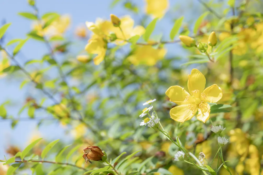 誰でもできるチャネリング 目醒めのヒント、宇宙から受け取りました