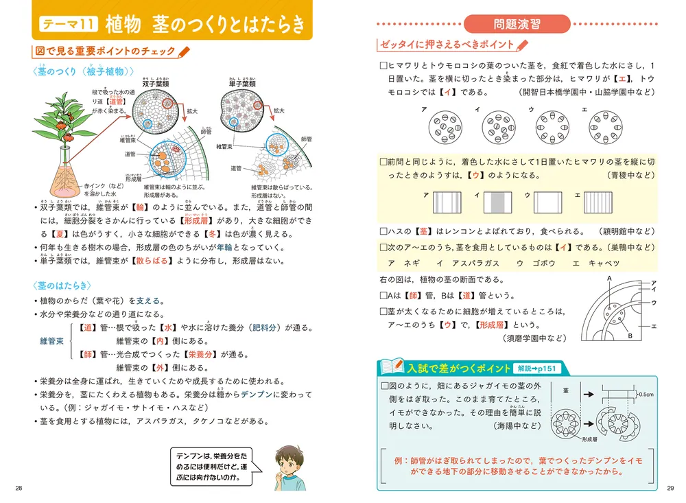 改訂版 中学入試にでる順 理科 植物・動物・人体、地球・宇宙」相馬