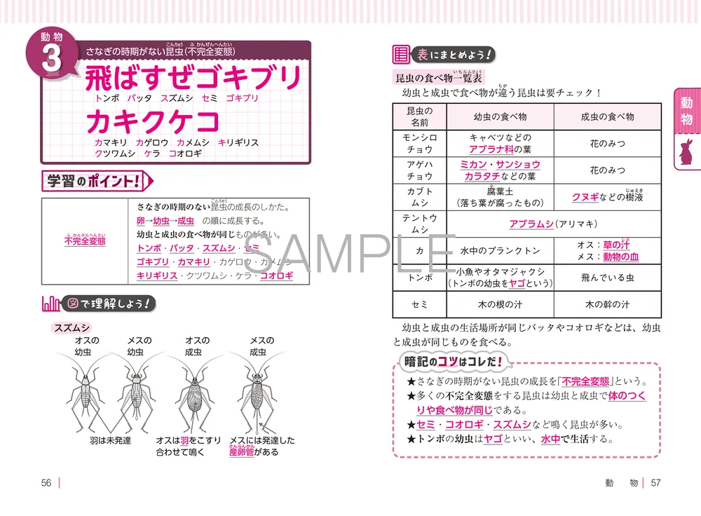 改訂第２版 中学受験 ゴロ合わせで覚える理科１００」宮本毅 [学習参考書（小学生向け）] - KADOKAWA