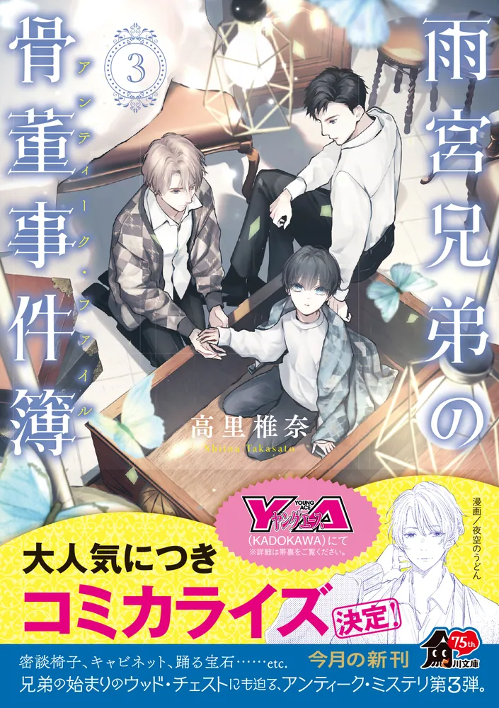 雨宮兄弟の骨董事件簿 3」高里椎奈 [角川文庫] - KADOKAWA
